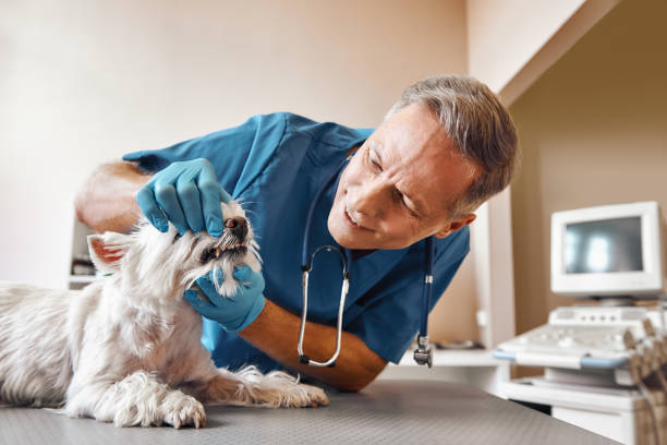 Best Emergency Wisdom Tooth Extraction in Vian, OK
